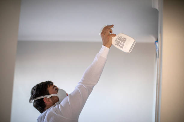 Best Home Mold Removal  in Thiells, NY